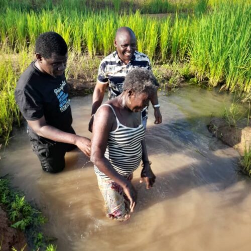 WhatsApp Image 2025-09-25 at 15.38.22